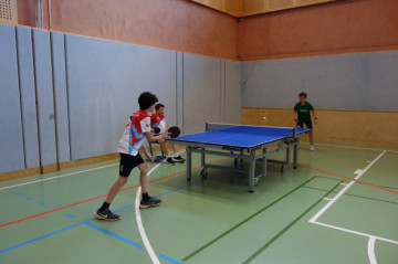 07.06.2024 - Bruck an der Leitha (AT) - Fotografie