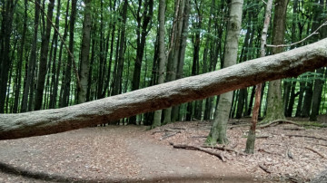 30.08.2025 - 1. CYKLO-POHODA - Fotografie